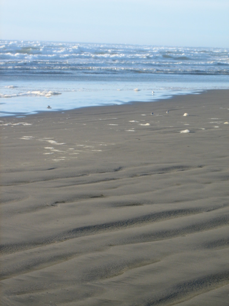 Lovely ocean