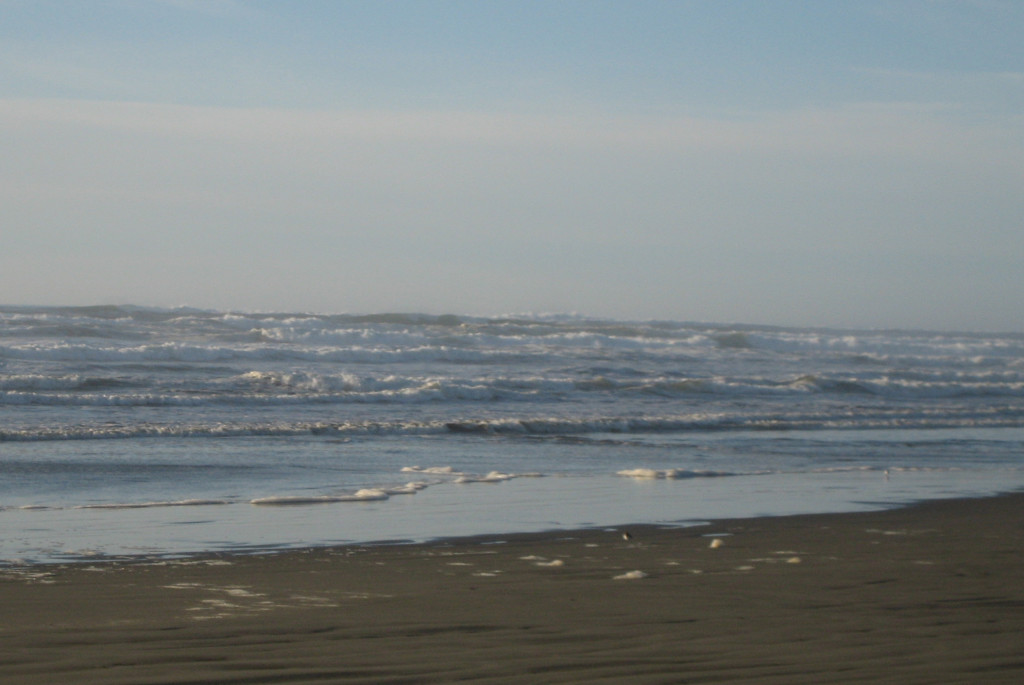 See the wave?